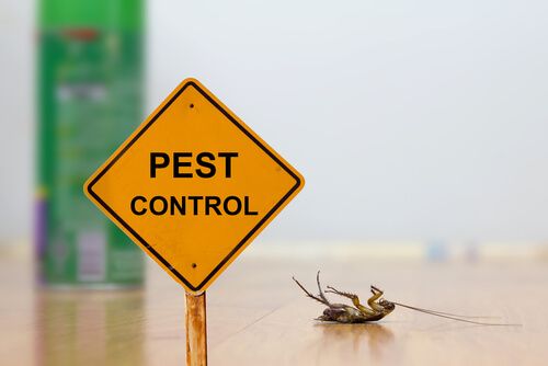 Tips to prevent pests